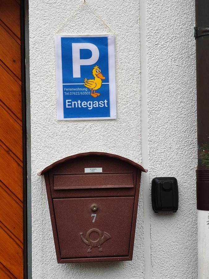 Apartment Entegast Schopfheim Dış mekan fotoğraf